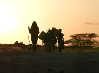 Azərbaycanlı rejissor Afrikada su böhranı haqqında film çəkib