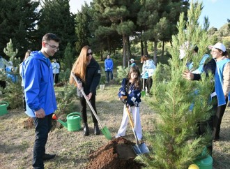Heydər Əliyev Fondunun vitse-prezidenti Leyla Əliyeva və Bakı Media Mərkəzinin rəhbəri Arzu Əliyevanın iştirakı ilə Bakıda növbəti ağacəkmə aksiyası keçirilib