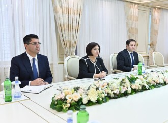 Avropa Parlamentinin Azərbaycanla bağlı qəbul etdiyi qərəzli sənədlər tənqid edilib