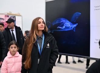 Heydər Əliyev Fondunun vitse-prezidenti Leyla Əliyeva və Bakı Media Mərkəzinin rəhbəri Arzu Əliyeva Dəniz Növlərinin Beynəlxalq Müdafiəsi layihəsinin təqdimatında iştirak ediblər (FOTO)