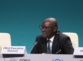 COP29 çərçivəsində üç mühüm sənəd imzalanıb - Muxtar Babayev