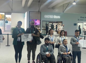 COP29 məkanında dəniz mədənçiliyi və balina ovuna qarşı etiraz aksiyası keçirildi