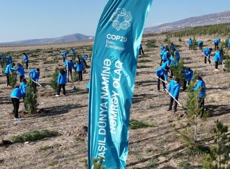 COP29-da Birinci xanımların iştirakı ilə “Gənclər iqlim fəaliyyətlərinin ön cəbhəsində” mövzusunda konfrans keçirilib