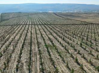 COP29-da Birinci xanımların iştirakı ilə “Gənclər iqlim fəaliyyətlərinin ön cəbhəsində” mövzusunda konfrans keçirilib