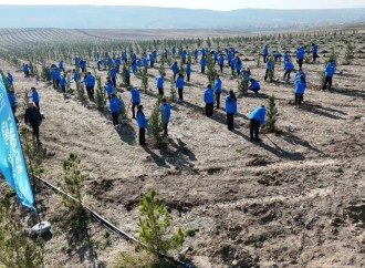 COP29-da Birinci xanımların iştirakı ilə “Gənclər iqlim fəaliyyətlərinin ön cəbhəsində” mövzusunda konfrans keçirilib