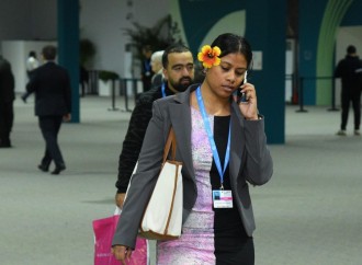 COP29-un dördüncü günündən fotoreportaj