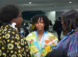COP29-un dördüncü günündən fotoreportaj