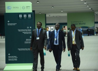 COP29-un səkkizinci günündən fotoreportaj