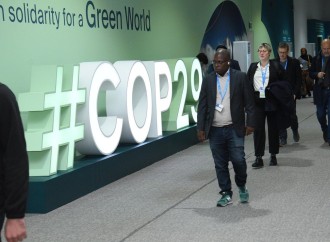 COP29-un doqquzuncu günündən fotoreportaj