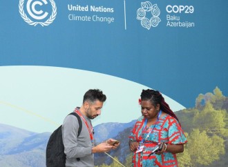 COP29-un doqquzuncu günündən fotoreportaj