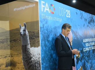 COP29-un onuncu günündən fotoreportaj
