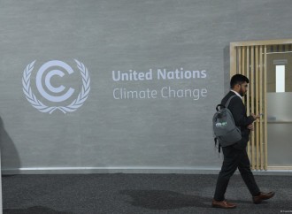 COP29-un onuncu günündən fotoreportaj