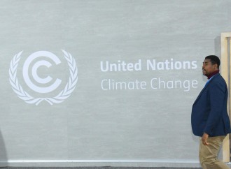 COP29-un onuncu günündən fotoreportaj