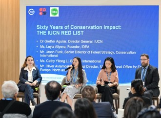 Heydər Əliyev Fondunun vitse-prezidenti Leyla Əliyeva COP29 çərçivəsində nadir canlıların mühafizəsinə həsr olunan panel müzakirələrində iştirak edib