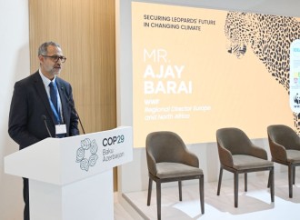 Heydər Əliyev Fondunun vitse-prezidenti Leyla Əliyeva COP29 çərçivəsində bəbirlərin mühafizəsinə həsr olunmuş tədbirdə çıxış edib