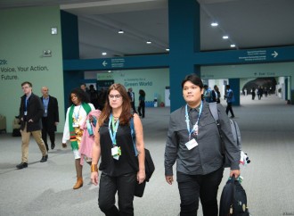 COP29-un onbirinci günündən fotoreportaj