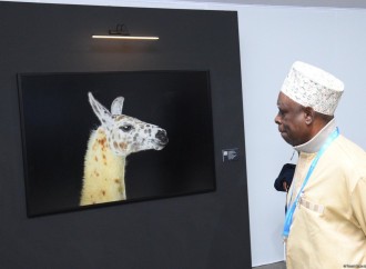COP29-un onbirinci günündən fotoreportaj