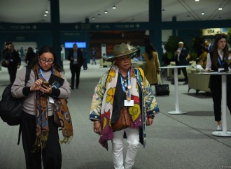 COP29-un onbirinci günündən fotoreportaj
