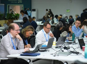 COP29-un onbirinci günündən fotoreportaj
