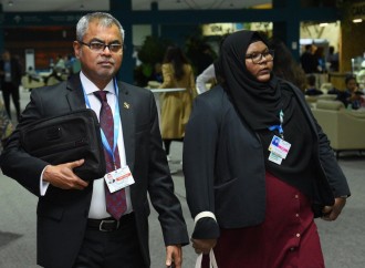 COP29-un onbirinci günündən fotoreportaj