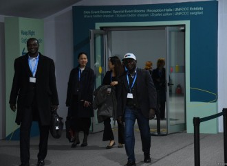 COP29-un onbirinci günündən fotoreportaj