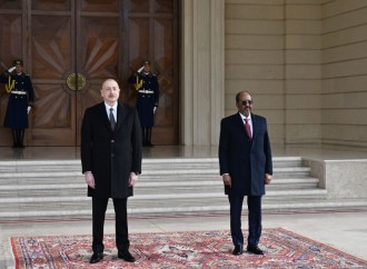 Somali Prezidenti Hasan Şeyx Mahmudun rəsmi qarşılanma mərasimi olub