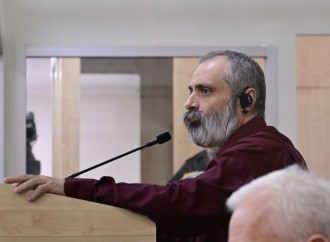 Sadə pasportlarımız kimi, diplomatik pasportlar da Ermənistanın idi - David Babayan