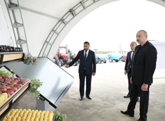 Prezident İlham Əliyev Yevlax pilot aqroparkının açılışında iştirak edib