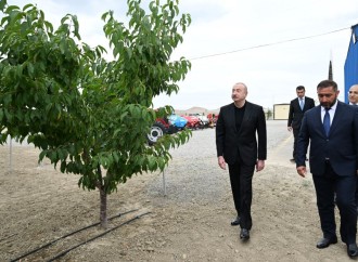 Prezident İlham Əliyev Yevlax pilot aqroparkının açılışında iştirak edib