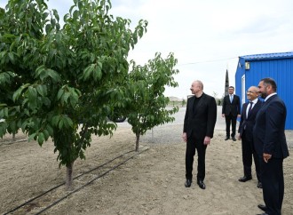 Prezident İlham Əliyev Yevlax pilot aqroparkının açılışında iştirak edib