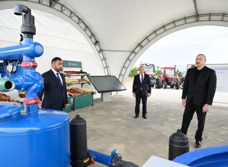 Prezident İlham Əliyev Yevlax pilot aqroparkının açılışında iştirak edib