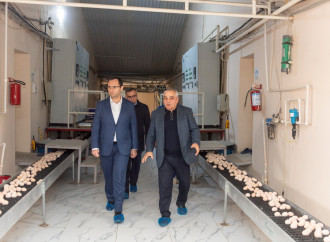 Nazir Məcnun Məmmədov Xızı və Abşeronda yerləşən quşçuluq müəssisələrinin fəaliyyəti ilə tanış olub
