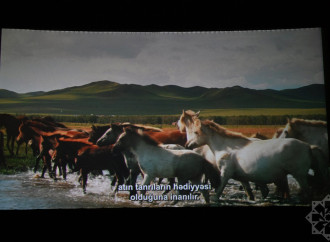 Nizami Kino Mərkəzində “At gücü” sənədli filmi təqdim olunub