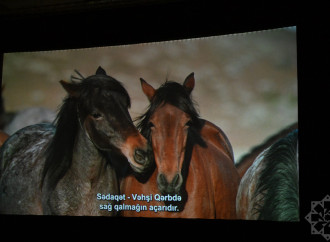 Nizami Kino Mərkəzində “At gücü” sənədli filmi təqdim olunub