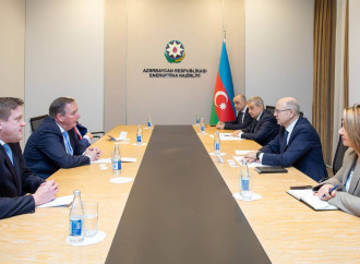 Bakı və Dublin arasında əməkdaşlıq məsələləri müzakirə olunub