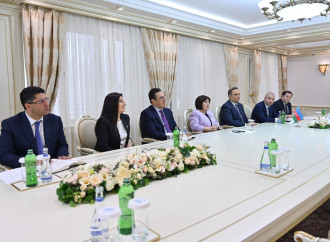 Milli Məclisin sədri Parlamentlərarası İttifaqın Baş katibi ilə görüşüb