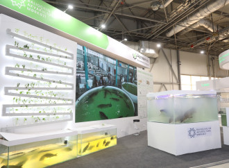 Prezident köməkçiləri Şahmar Mövsümov və Xalid Əhədov “Caspian Agro 2026” və “InterFood Azerbaijan” sərgiləri ilə tanış olublar
