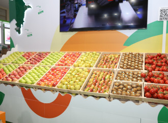 Prezident köməkçiləri Şahmar Mövsümov və Xalid Əhədov “Caspian Agro 2026” və “InterFood Azerbaijan” sərgiləri ilə tanış olublar