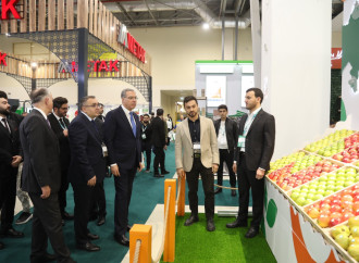 Prezident köməkçiləri Şahmar Mövsümov və Xalid Əhədov “Caspian Agro 2026” və “InterFood Azerbaijan” sərgiləri ilə tanış olublar