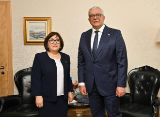 Milli Məclisin sədri Sahibə Qafarova Monteneqro parlamentinin sədri ilə görüşüb