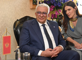 Milli Məclisin sədri Sahibə Qafarova Monteneqro parlamentinin sədri ilə görüşüb
