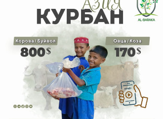 Al Baraka Azerbaijan könüllüləri Qurban bayramı ilə əlaqədar yeni layihəyə start verib