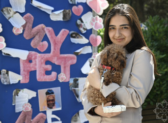 “İşıqlı planetin sakinləri”: Xeyirxahlıq və Mədəniyyət Festivalı çərçivəsində sərgi