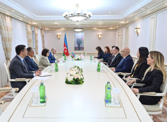 Sahibə Qafarova Ziya Öztürkler ilə görüşüb