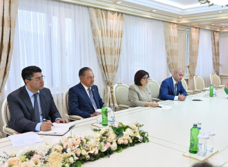 Sahibə Qafarova Ziya Öztürkler ilə görüşüb