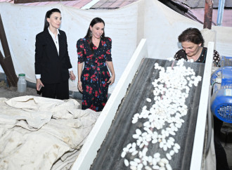 Heydər Əliyev Fondunun vitse-prezidenti Leyla Əliyeva “Azəripək” ASC-nin fəaliyyəti ilə yaxından tanış olub