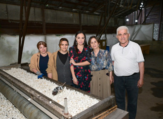 Heydər Əliyev Fondunun vitse-prezidenti Leyla Əliyeva “Azəripək” ASC-nin fəaliyyəti ilə yaxından tanış olub