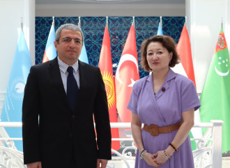 Şövqi Mehdizadə Türk Mədəniyyəti və İrsi Fondunun rəhbərliyi ilə görüşüb
