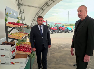 "Azərbaycan şirkəti Dağıstanda Aqropark salacaq"