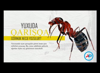 Yuxuda uçan qarışqa görmək necə yozulur?